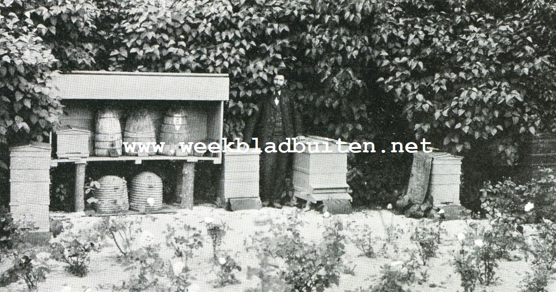 OUDERWETSCHE EN MODERNE BIJENTEELT