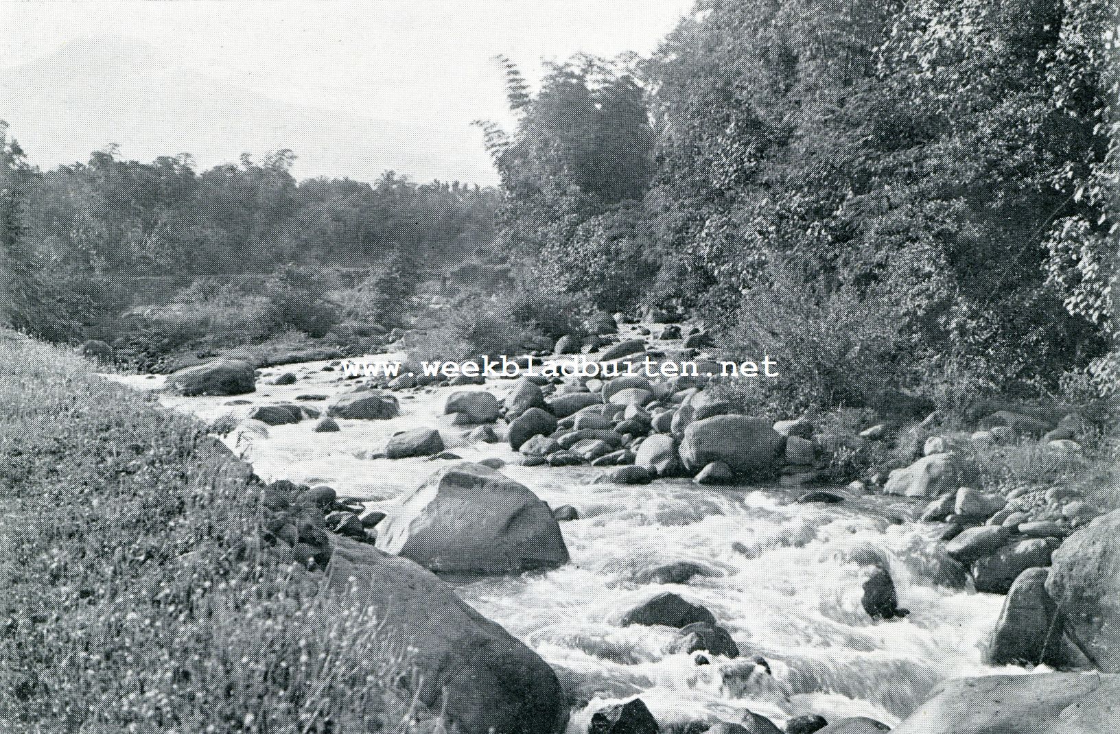 STROOMVERSNELLINGEN BIJ PADI