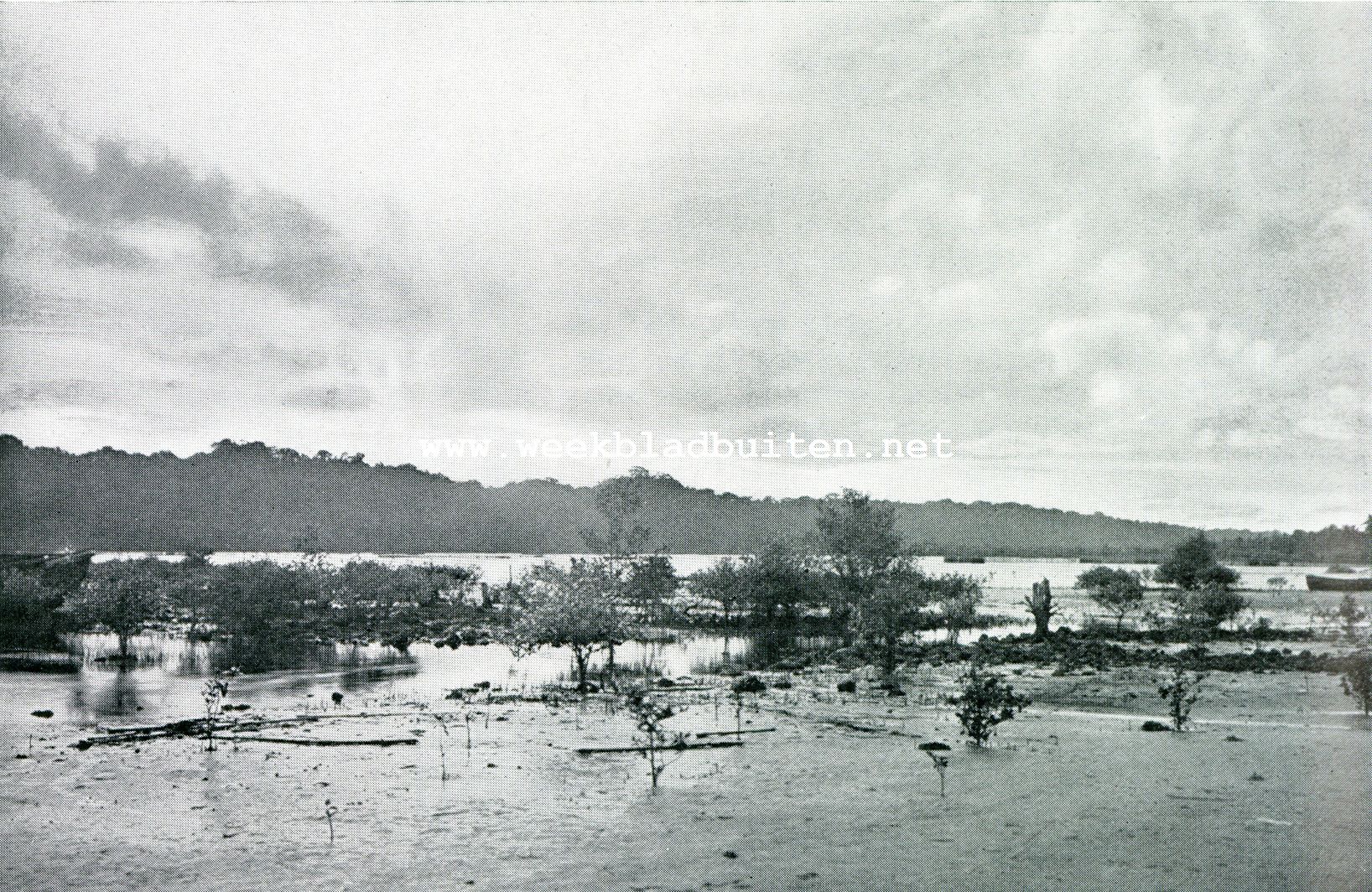 STRAND VEGETATIE (LAAGTIJ)