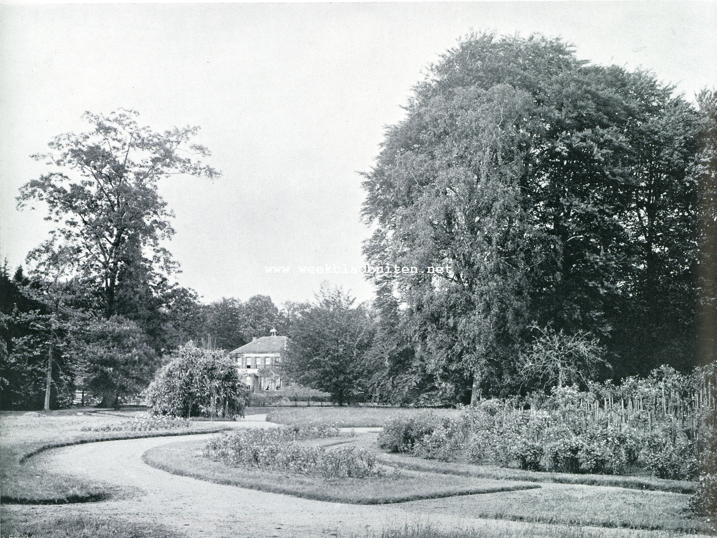 HET LOO. BLOEMISTERIJ MET ROZENHEUVEL