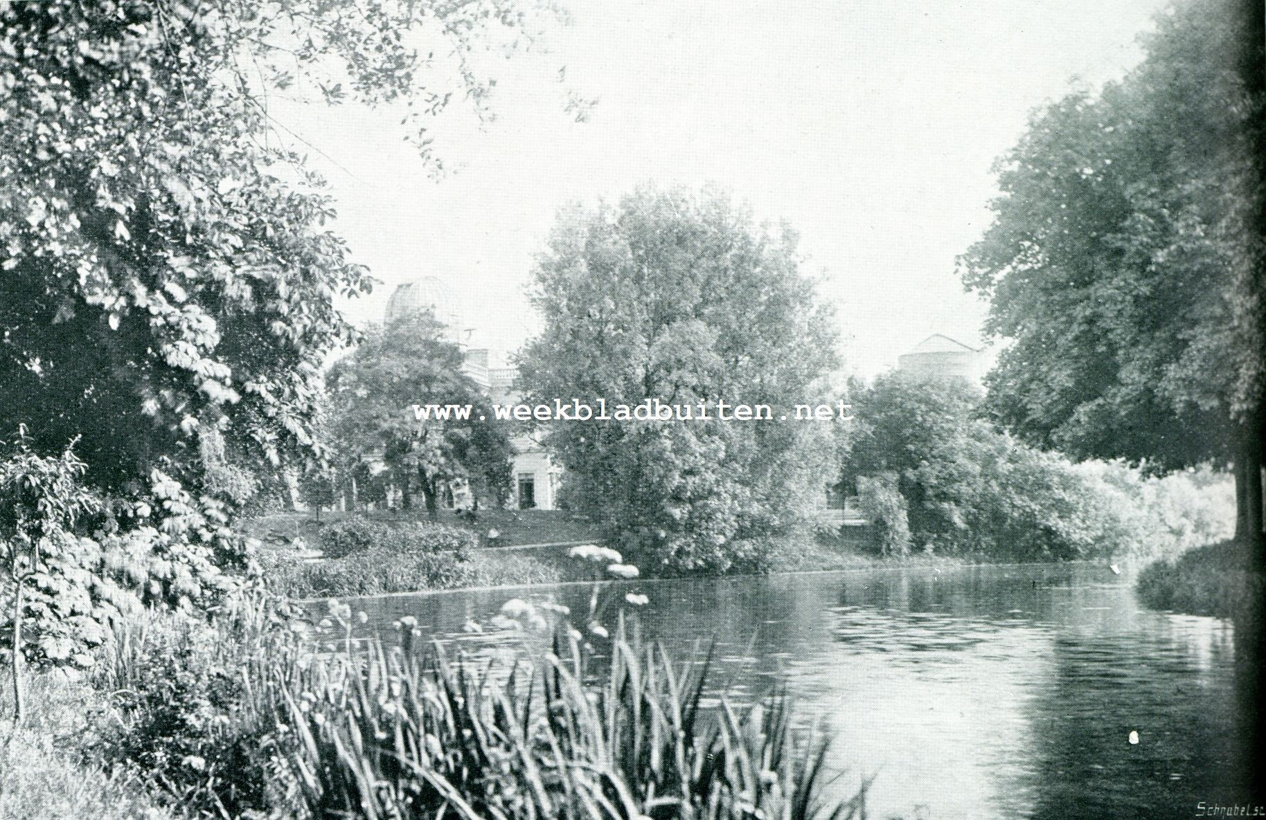 BEPLANTE SINGELKANT (Hortus Leiden)