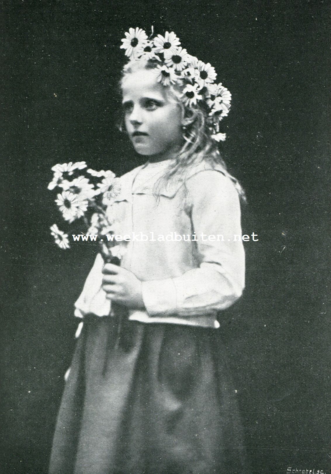 GANZEBLOEMEN 2