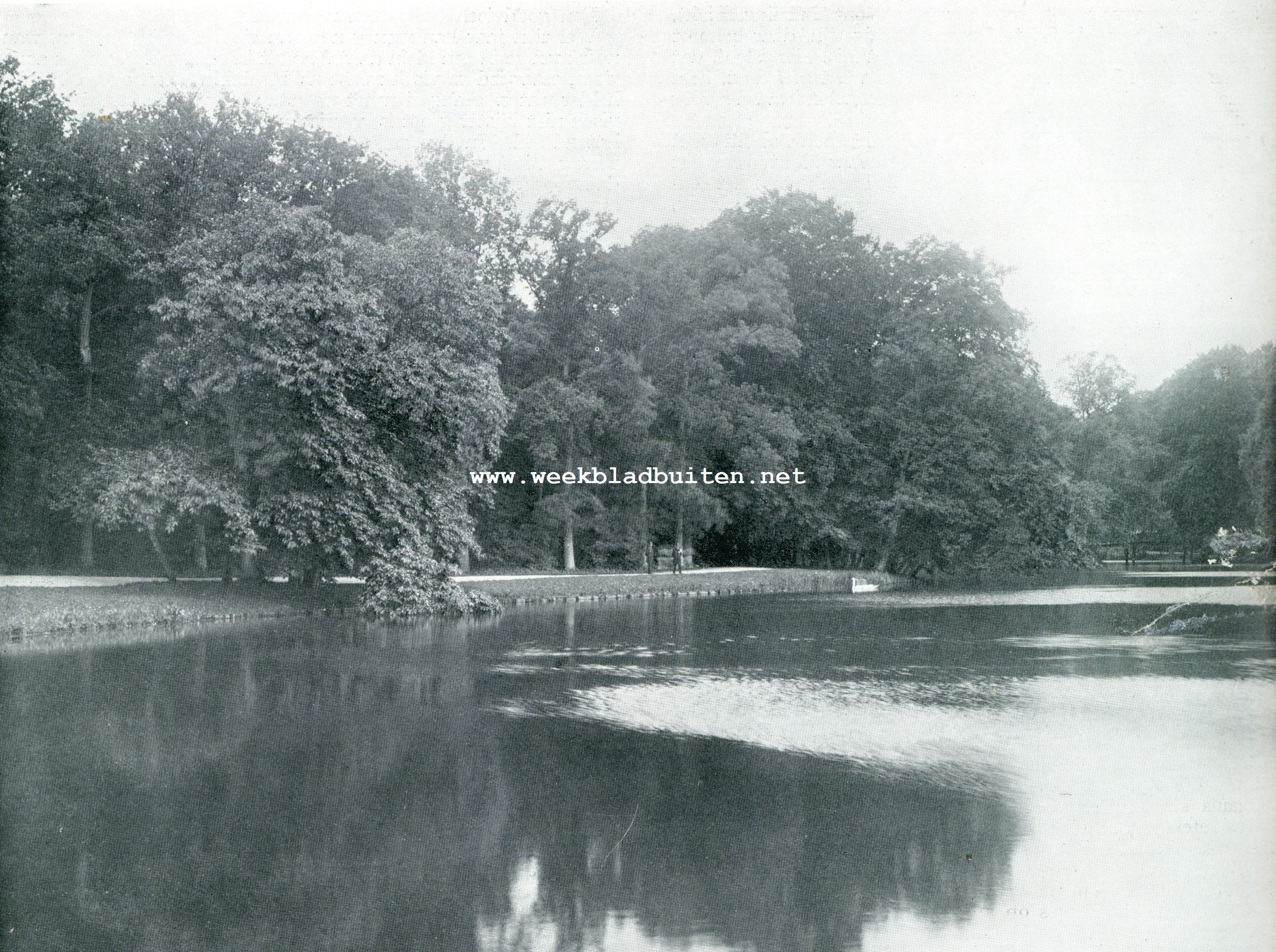 HET HAAGSCHE BOSCH. DE GROOTE VIJVER