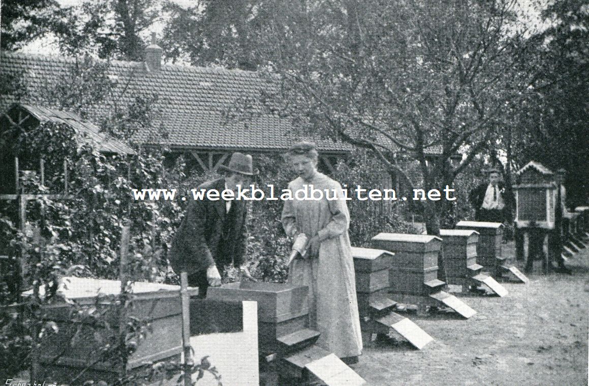 KASTONDERZOEK IN VOLZOMER. W-B-C-kasten en een weegkast