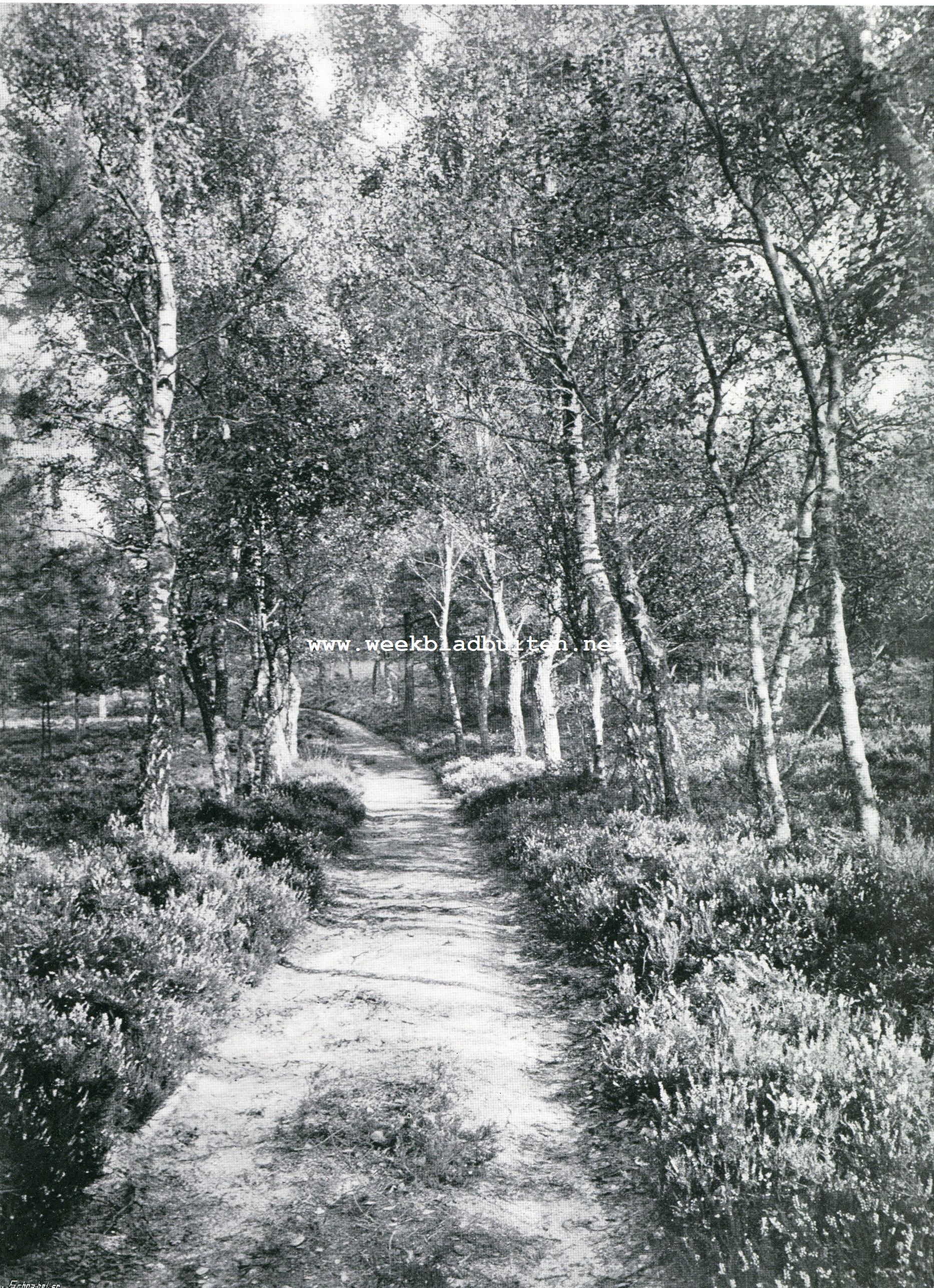 Bij Apeldoorn