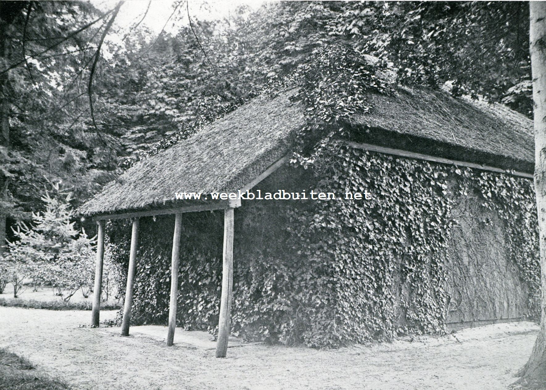 Vinken. Oud vinkenhuisje op 