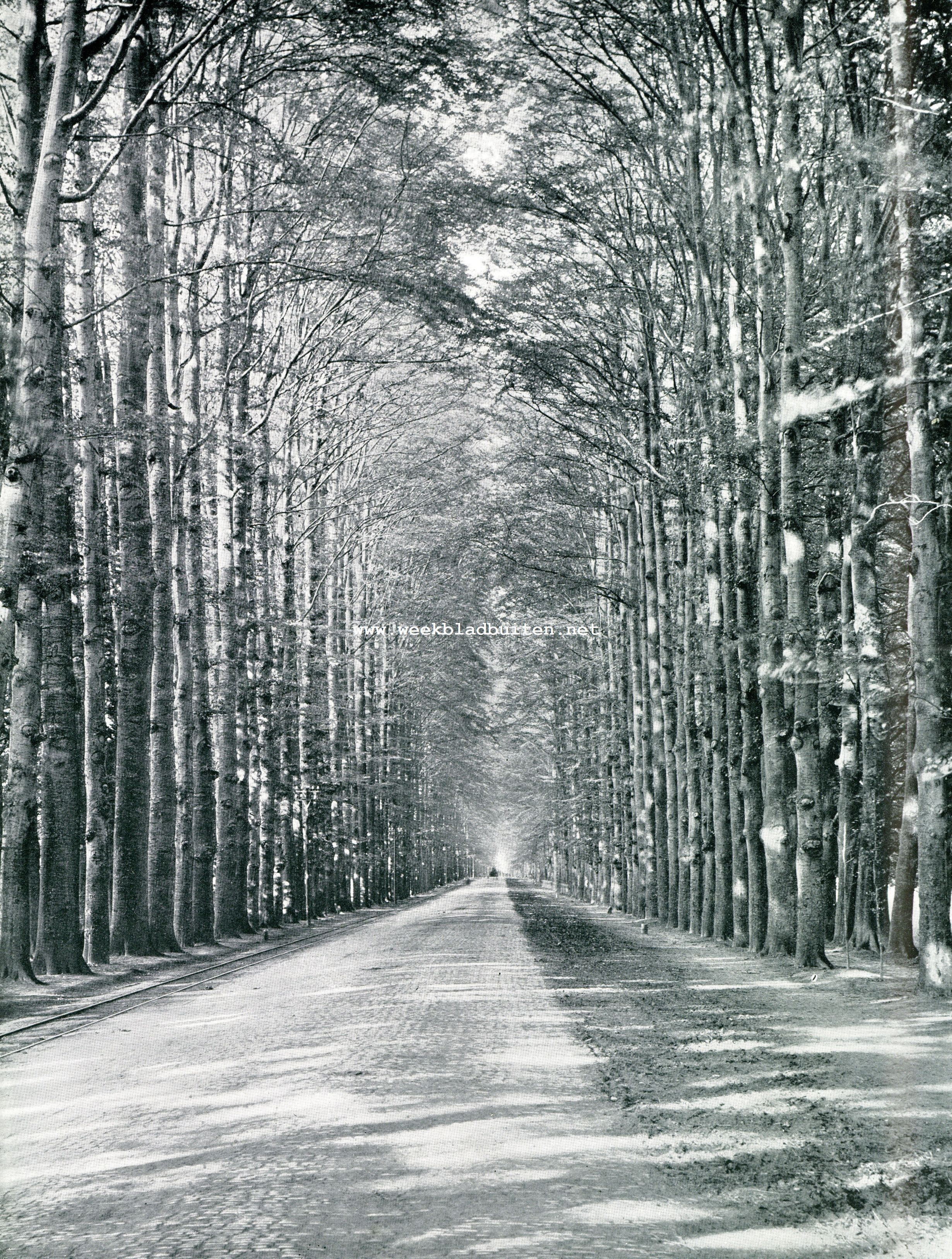 De Middachter Allee in Juni 1907