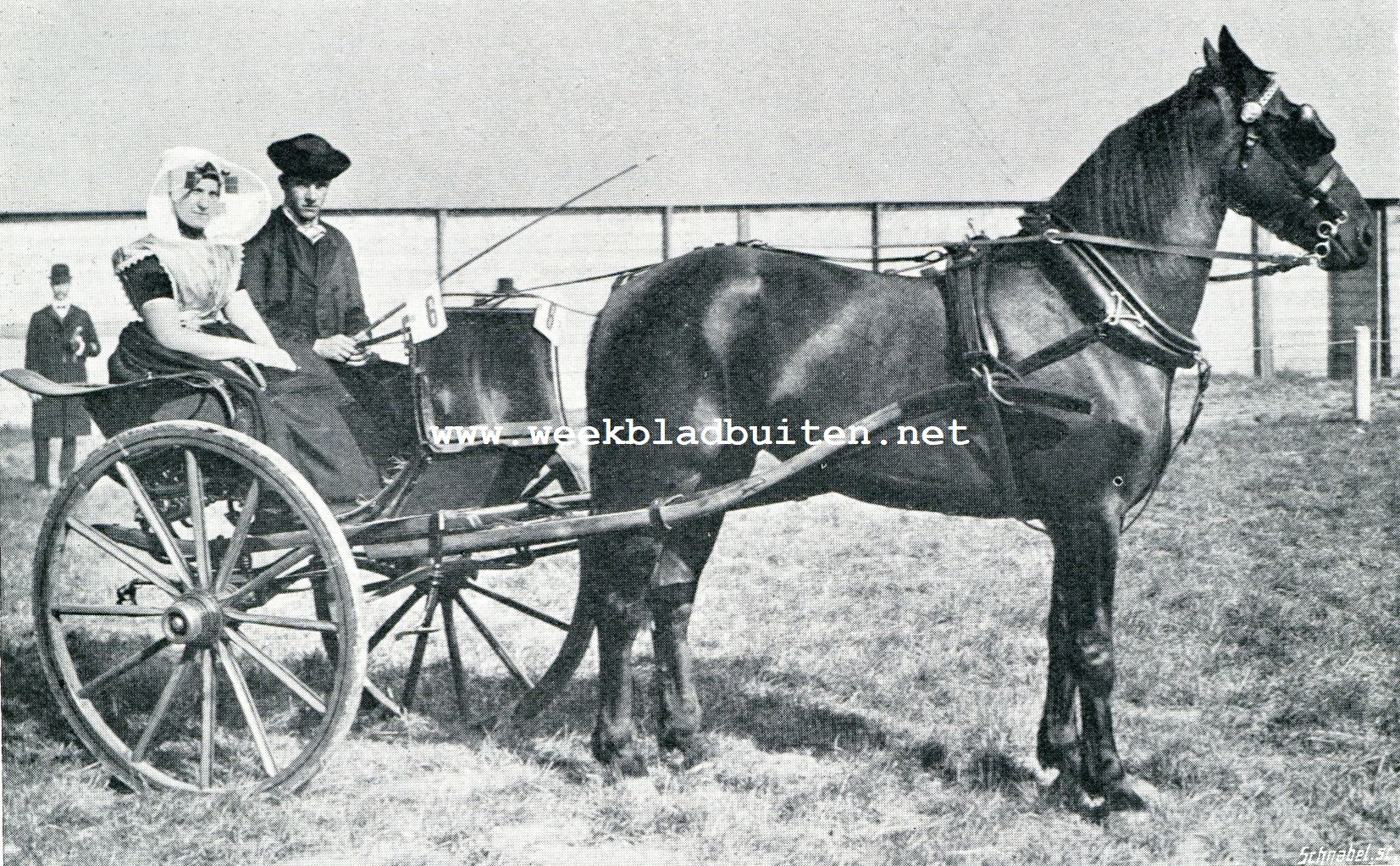 De afdeeling paarden op de Landbouwtentoonstelling te 's-Gravenhage. Zeeuwsche kleederdracht (Zuid-Beveland)