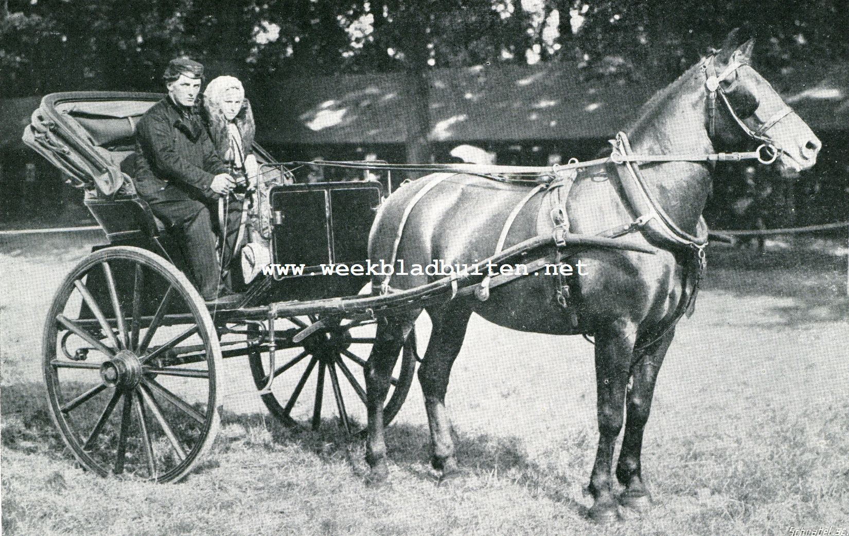 De afdeeling paarden op de Landbouwtentoonstelling te 's-Gravenhage. Zeeuwsche boer en boerin uit Zeeuwsch-Vlaanderen O.D.; Axel