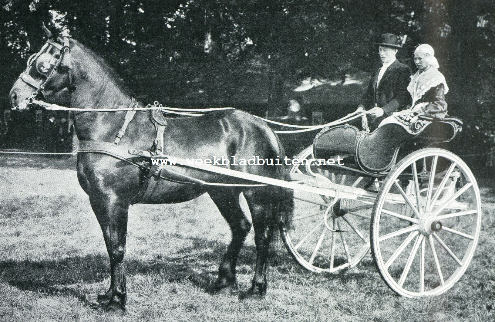 De afdeeling paarden op de Landbouwtentoonstelling te 's-Gravenhage. Friesche boer en boerin