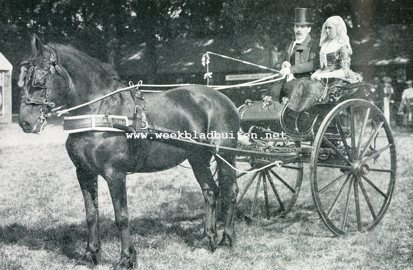 De afdeeling paarden op de Landbouwtentoonstelling te 's-Gravenhage. Ouderwetsche Groningsche kleedij