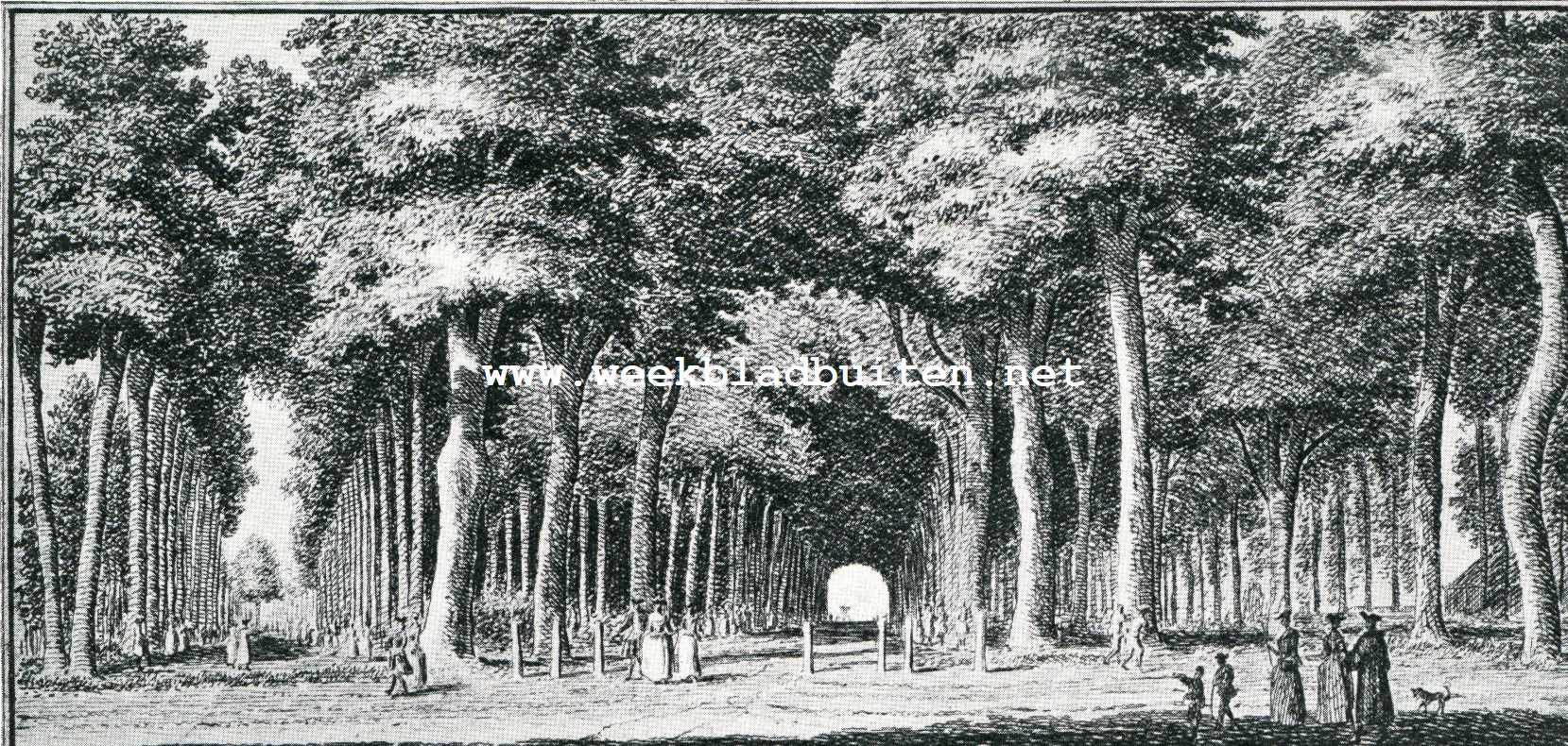 Historische lanen. De ingang van den Hout bij 't Dronkenhuisje