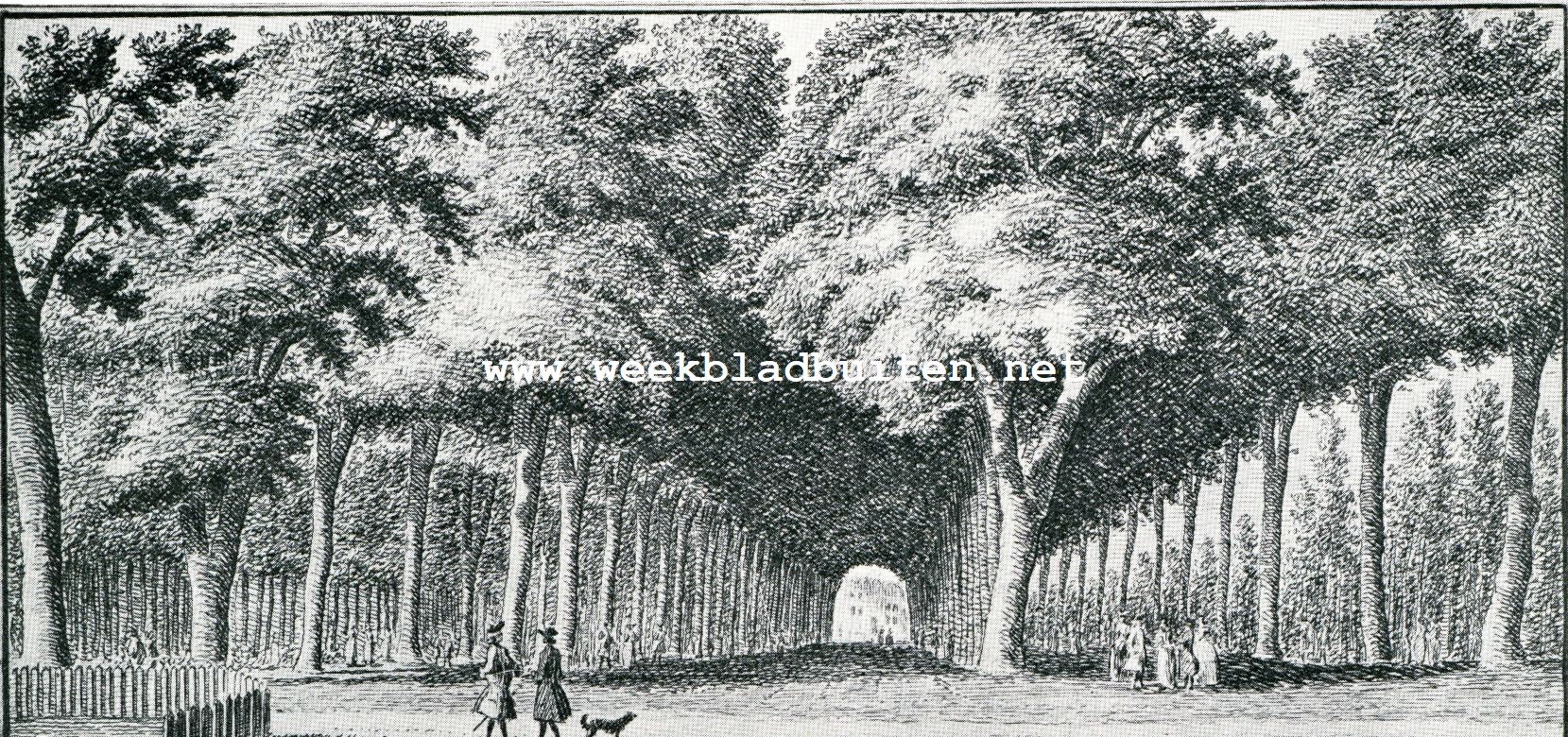 Historische lanen. De Lindelaan, ziende op 't Dronkenhuisje