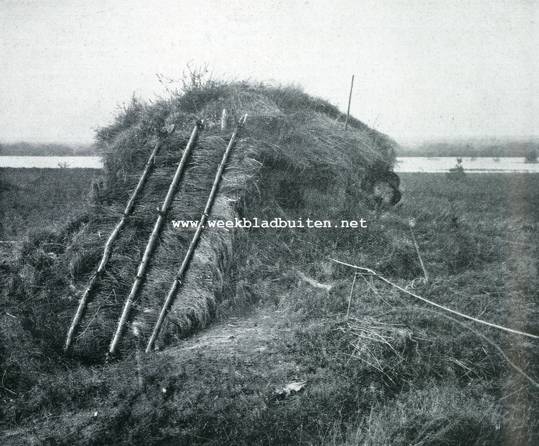 Valkenvangst. Op den uitkijk