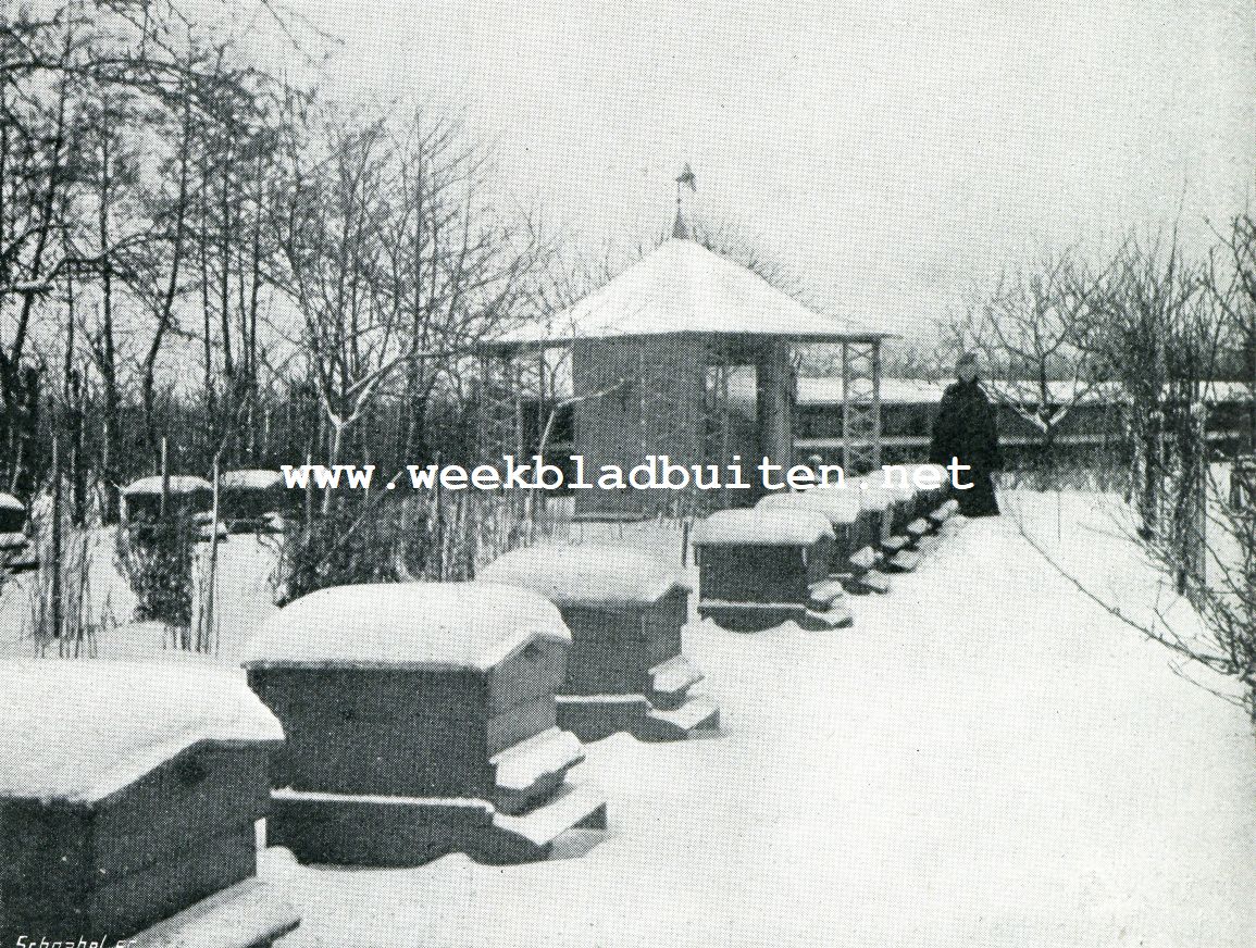 Bijenkasten in sneeuw
