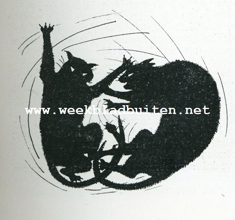 De groote kater Pieter vertelt zijn geschiedenis. Zonder titel 4