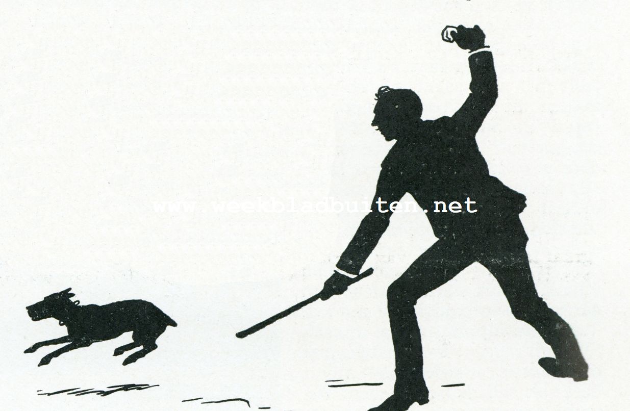 De groote kater Pieter vertelt zijn geschiedenis. Zonder titel 2