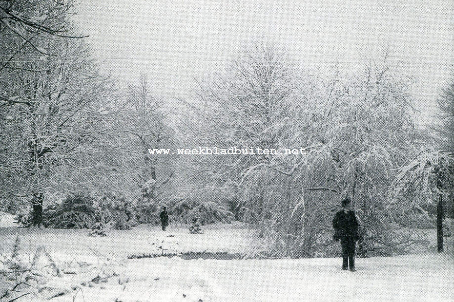 Sneeuwgezicht in een grooten tuin
