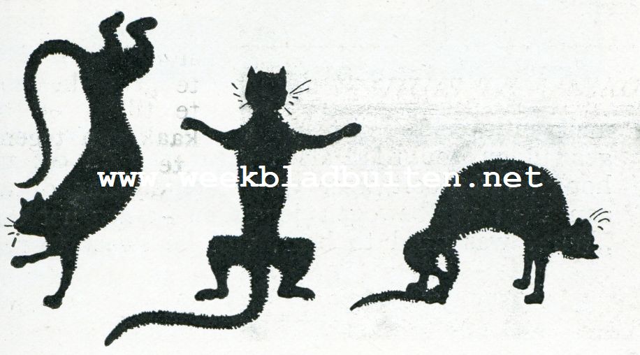 De groote kater Pieter vertelt zijn geschiedenis. Zonder titel 1