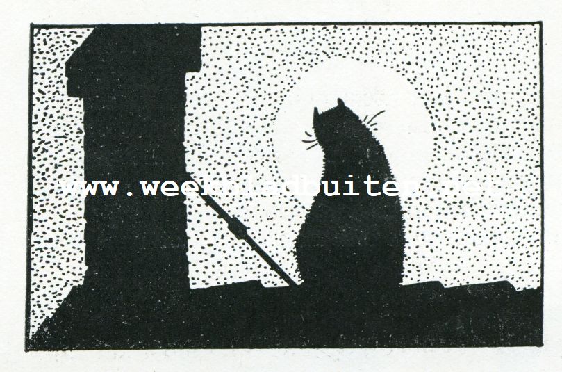 De groote kater Pieter vertelt zijn geschiedenis. Zonder titel 5