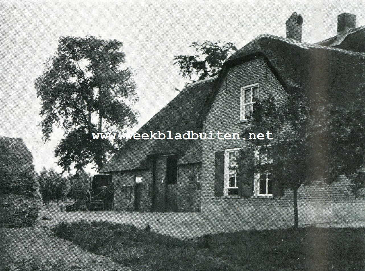 Landbouw. Boerderij te Drongelen (Noord-Branbant)
