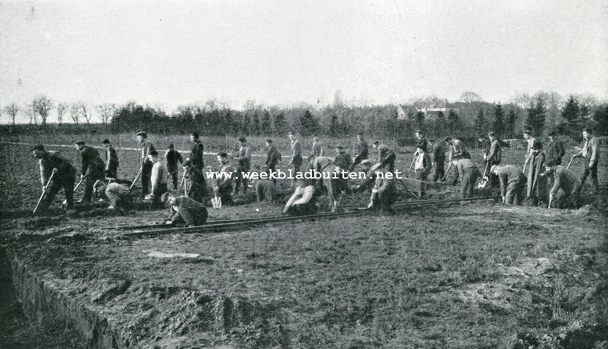 Landbouw. Leerlingen der G.A. van Swieten tuinbouwschool aan den arbeid