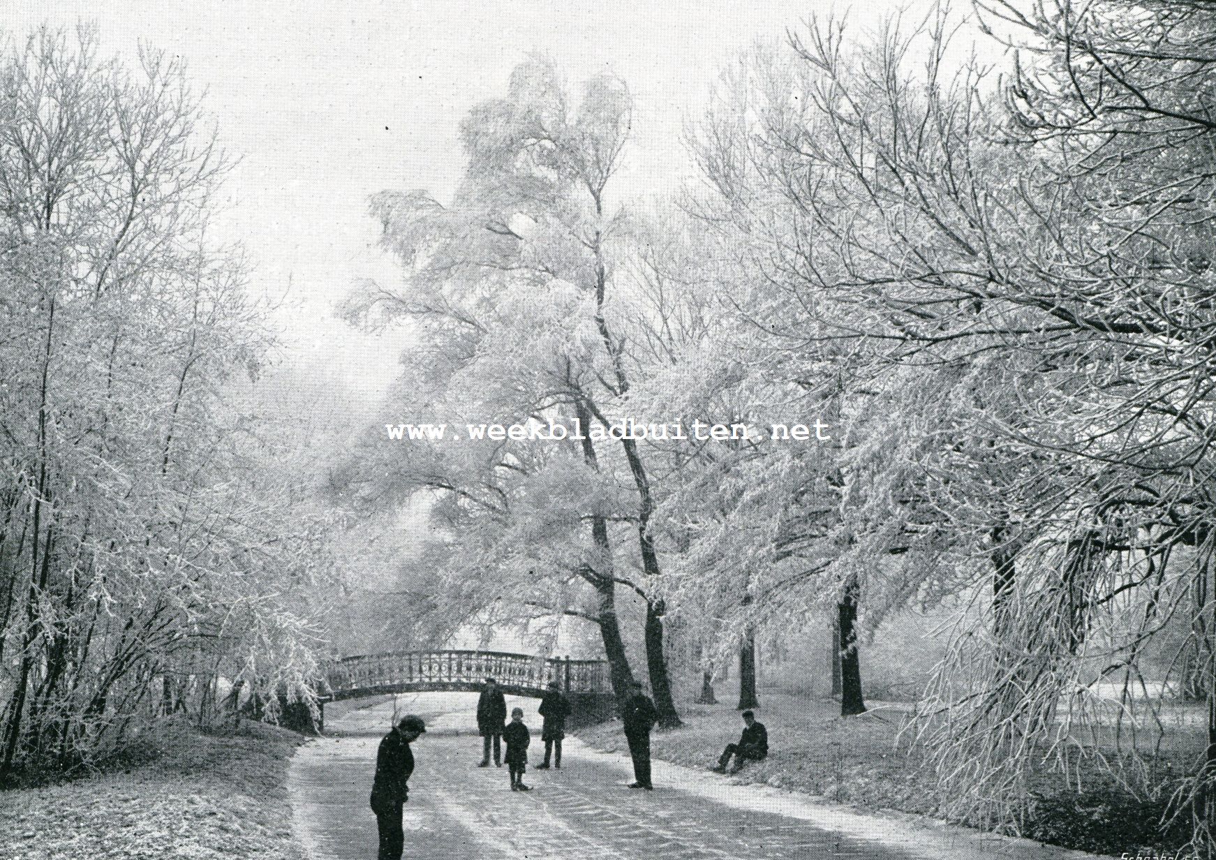 Volop winter in het park