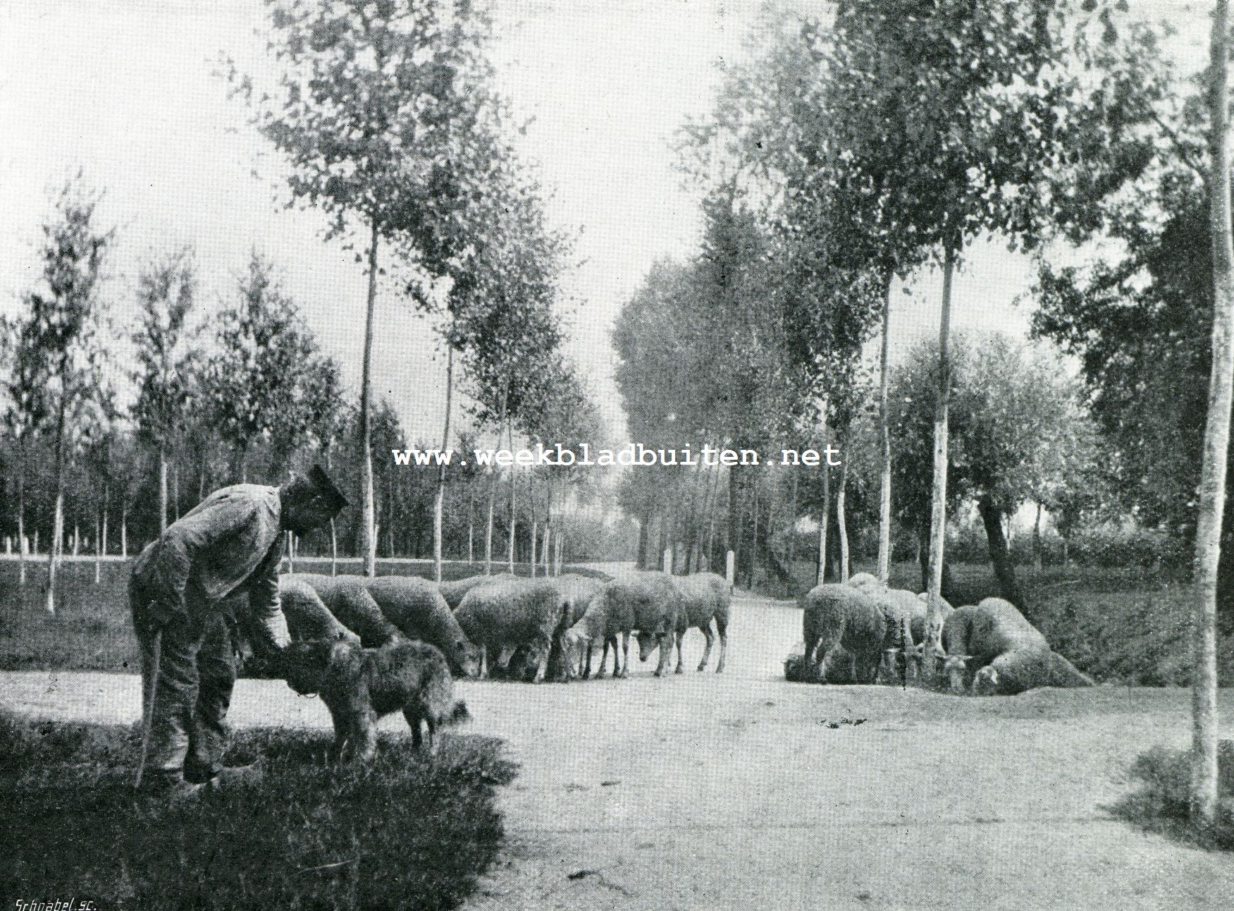 Een 