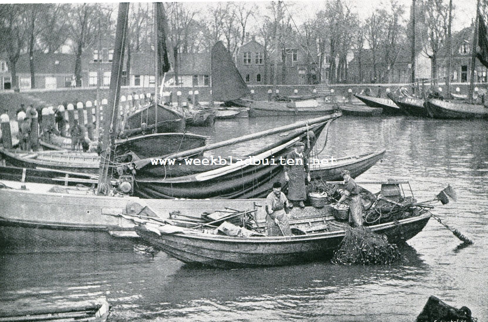 Zuiderzeeharing. Enkhuizer binnenhaven
