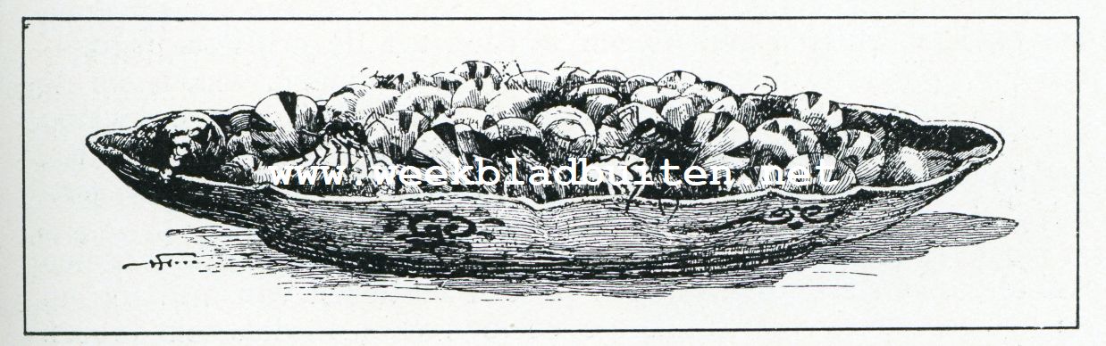 Bij de mieren. Een schotel honingmieren, zooals die opgedischt wordt bij Mexikaansche huwelijksfeestmalen