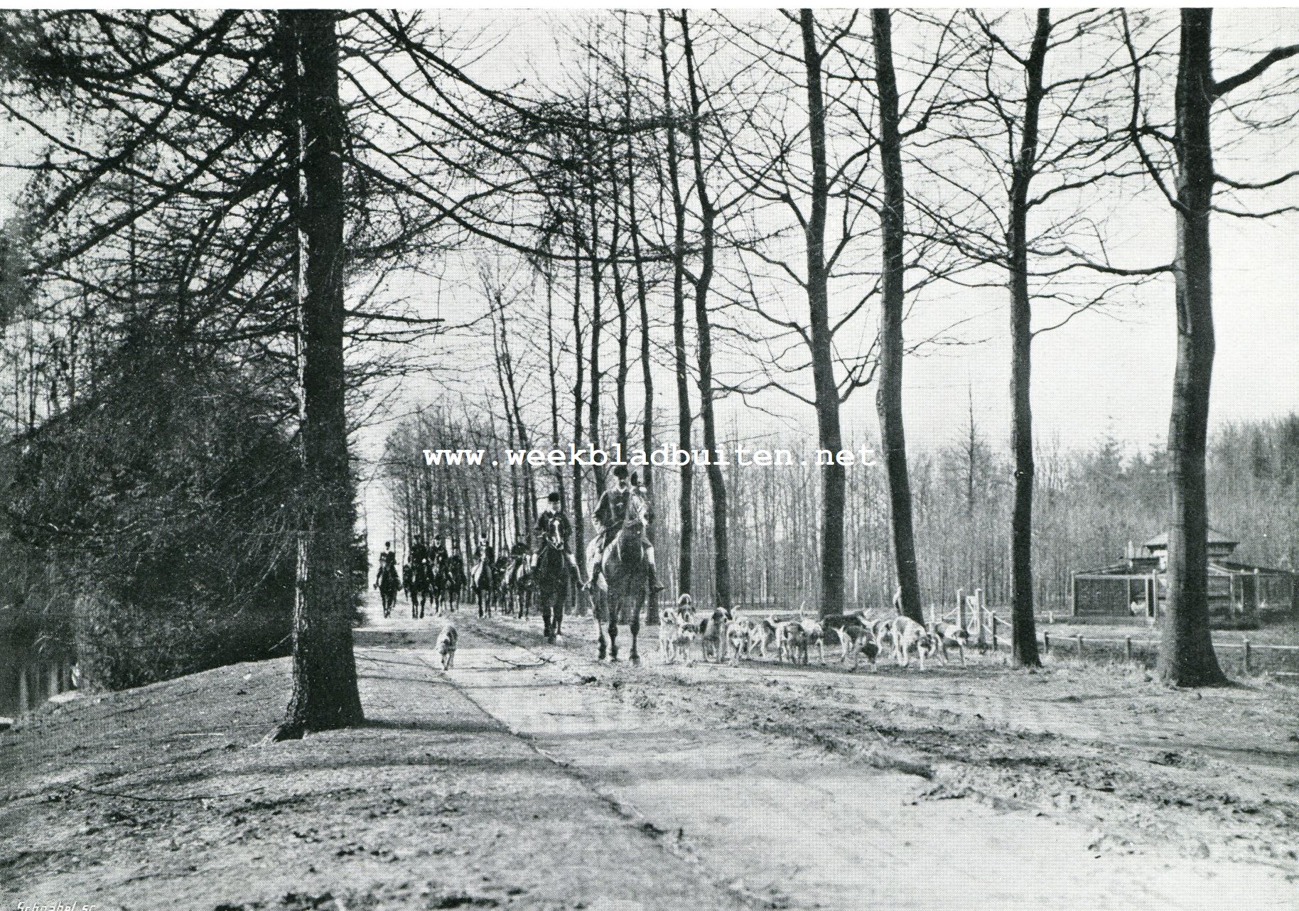 Iets over jachtrijden en de Koninklijke Veluwsche Jachtvereeniging. De master met het gezelschap rijden door een der lanen om het kasteel naar de weiden alwaar de honden den slip opnemen