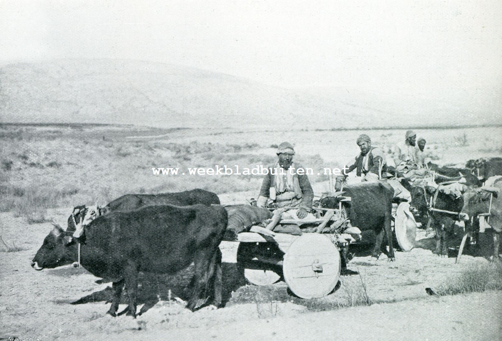 Turksche boeren aan den arbeid