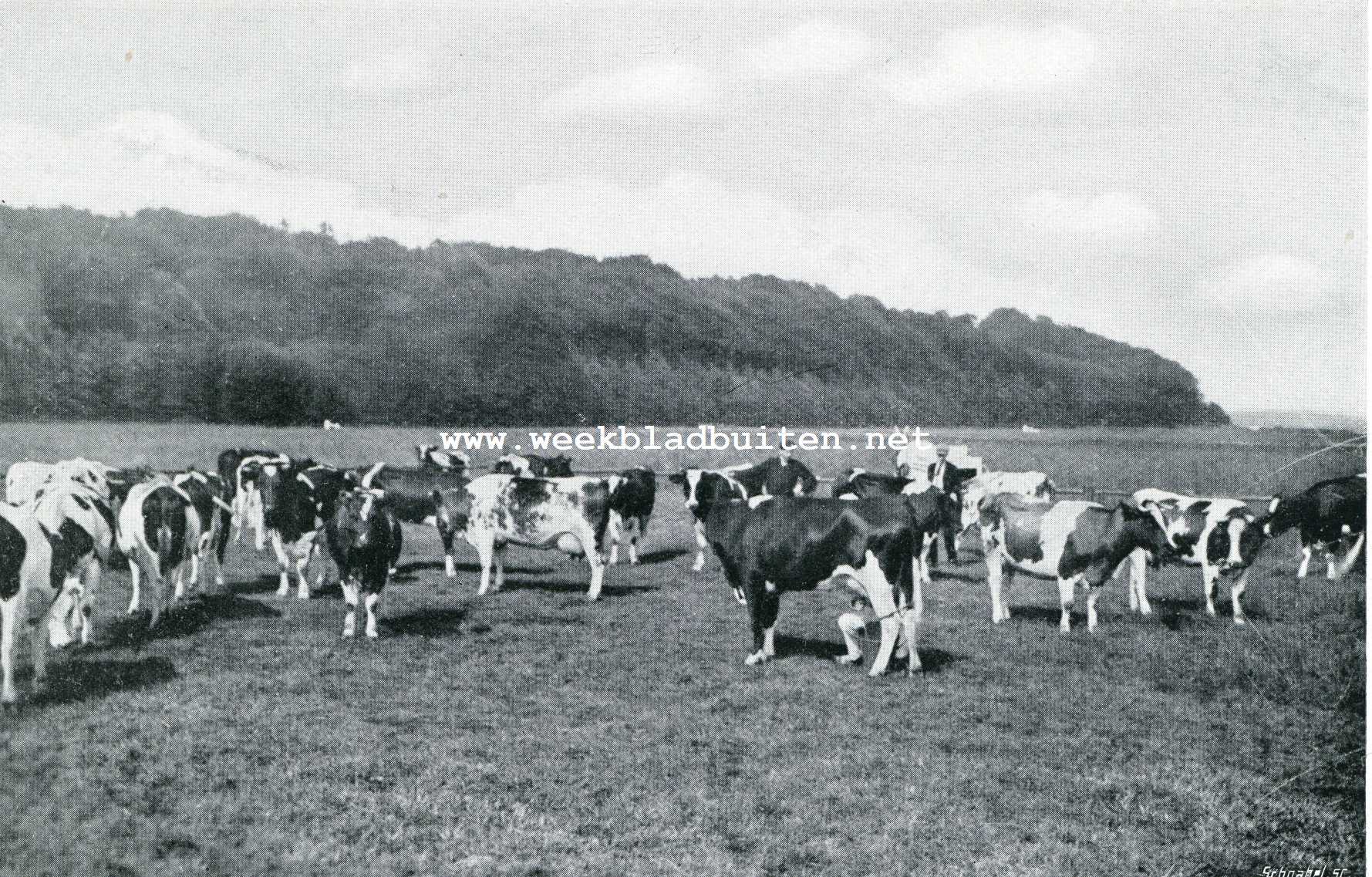 Modelboerderij 