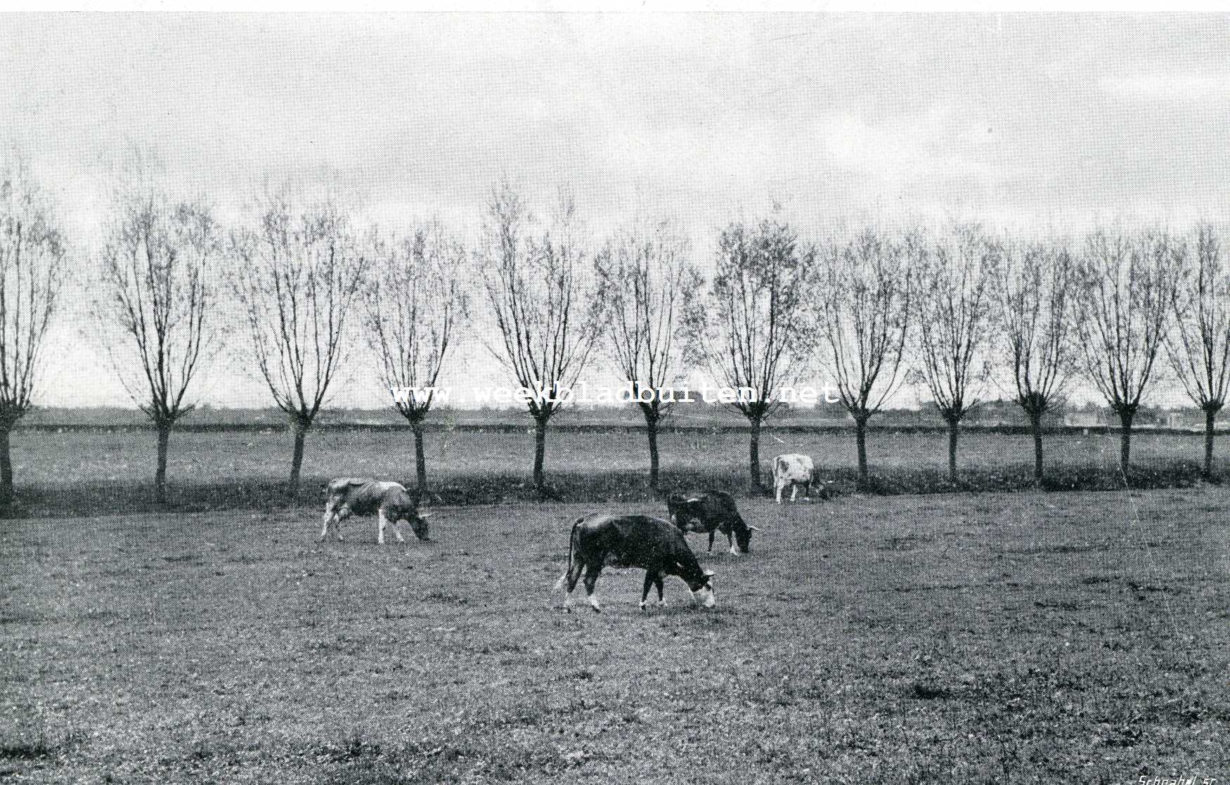 Modelboerderij 