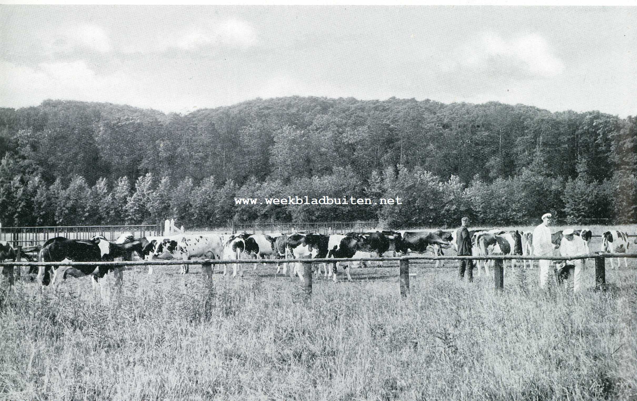 Modelboerderij 