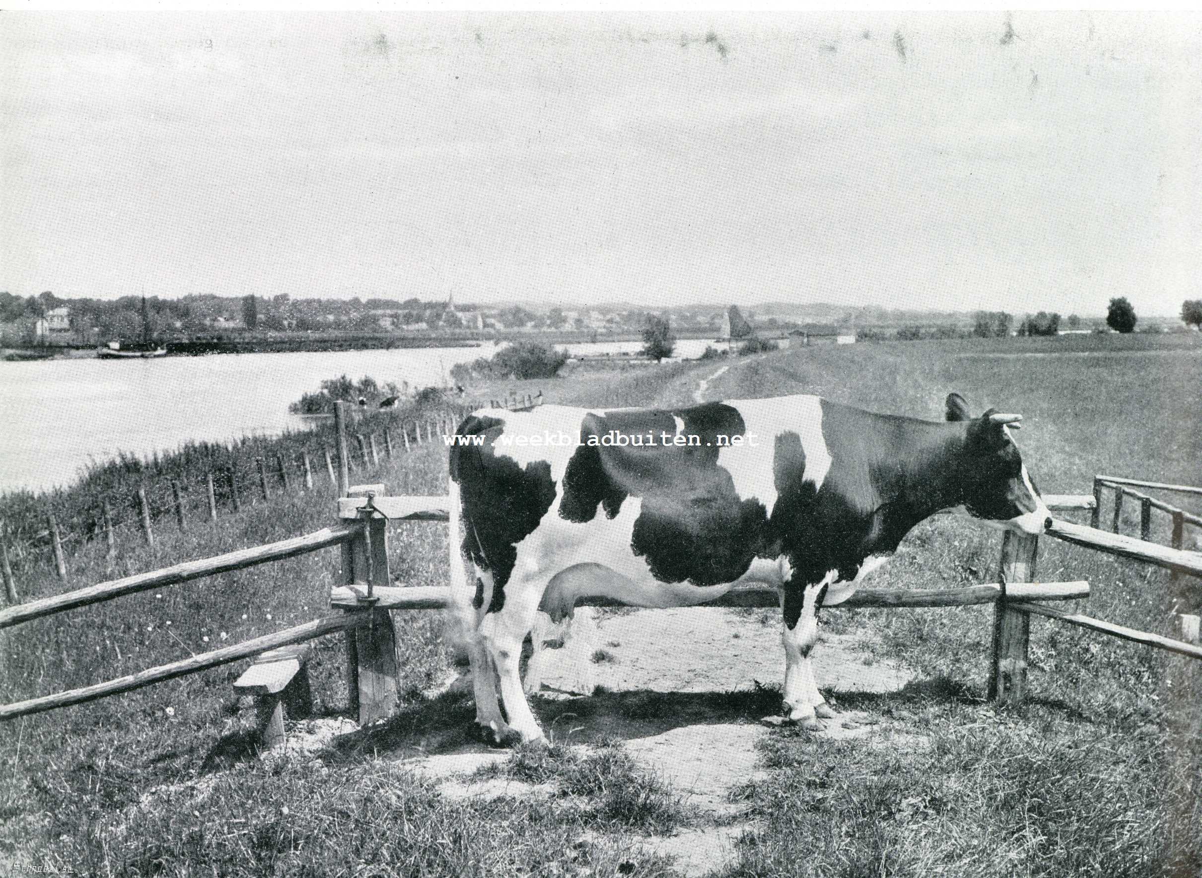 Modelboerderij 