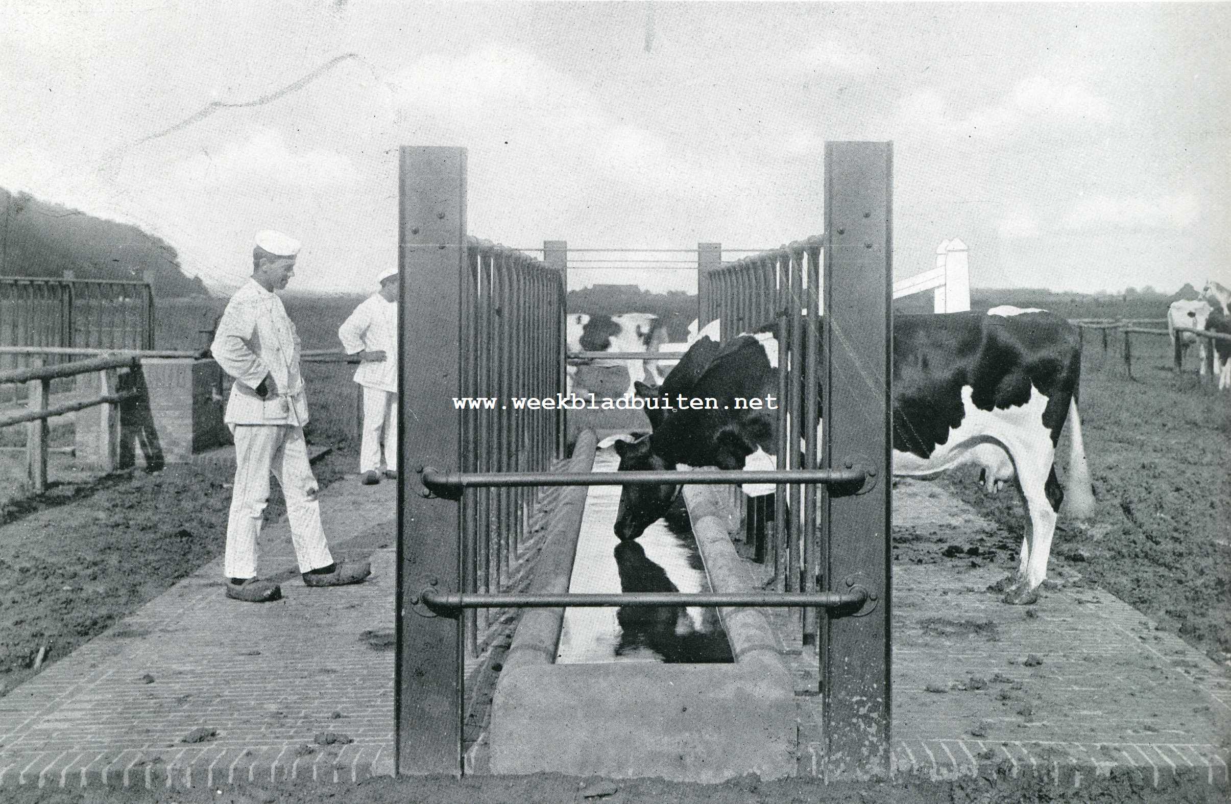 Modelboerderij 