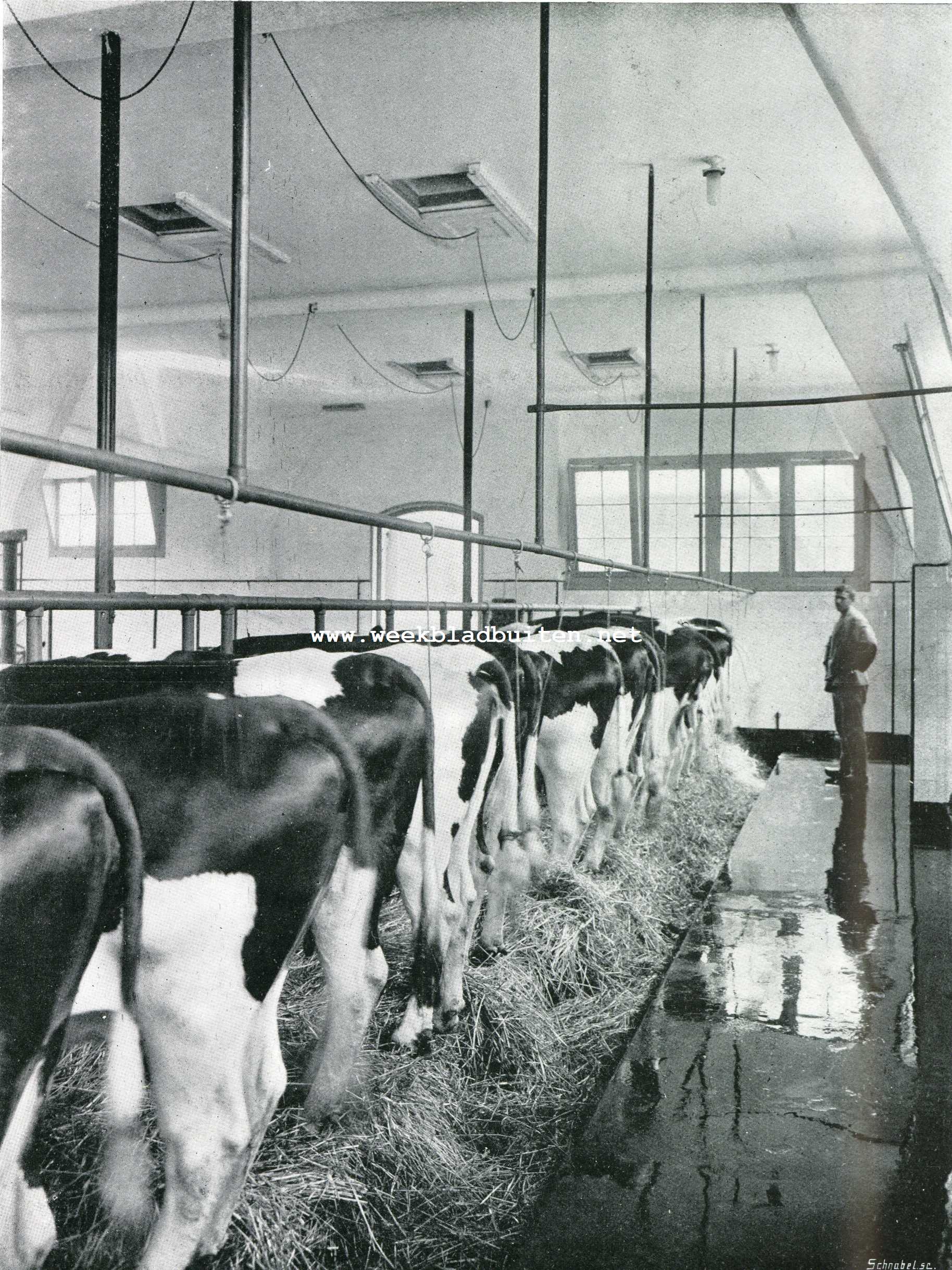 Modelboerderij 