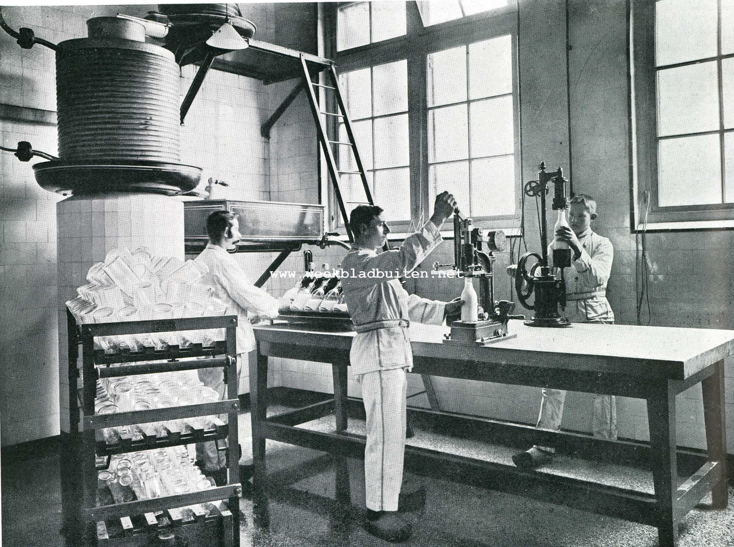 Modelboerderij 