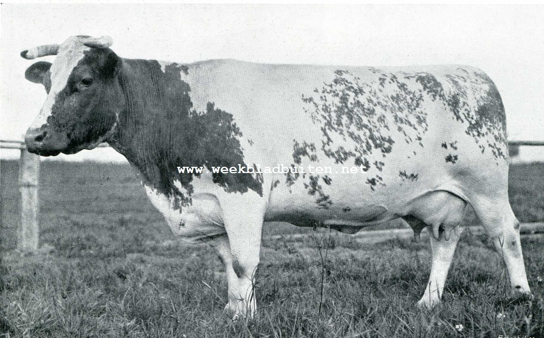 Modelboerderij 