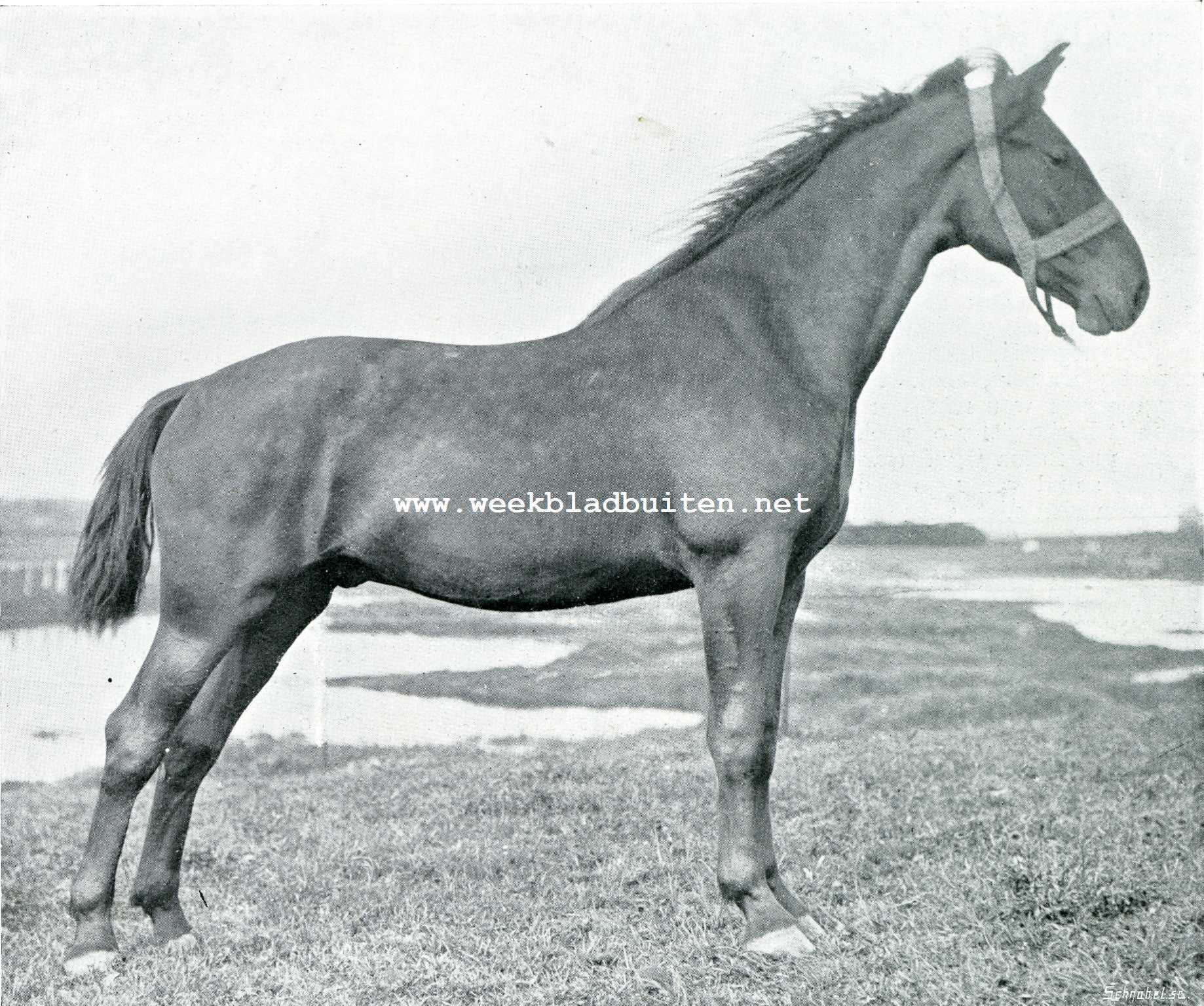 Modelboerderij 