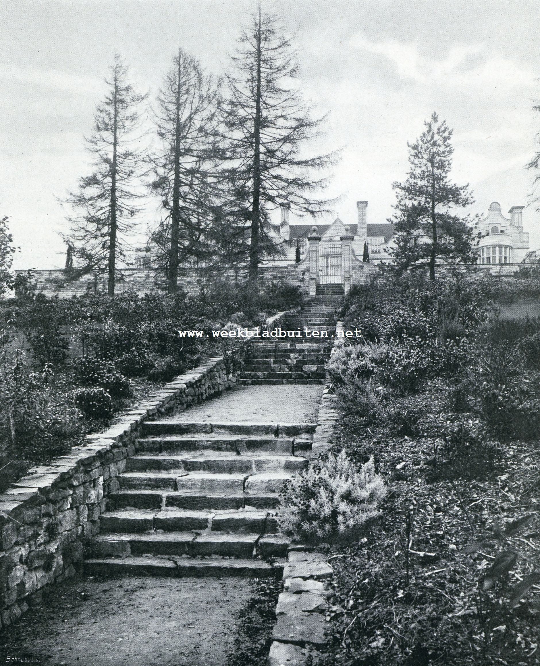 Engelsche tuinkunst. Overgang van tuin tot natuur