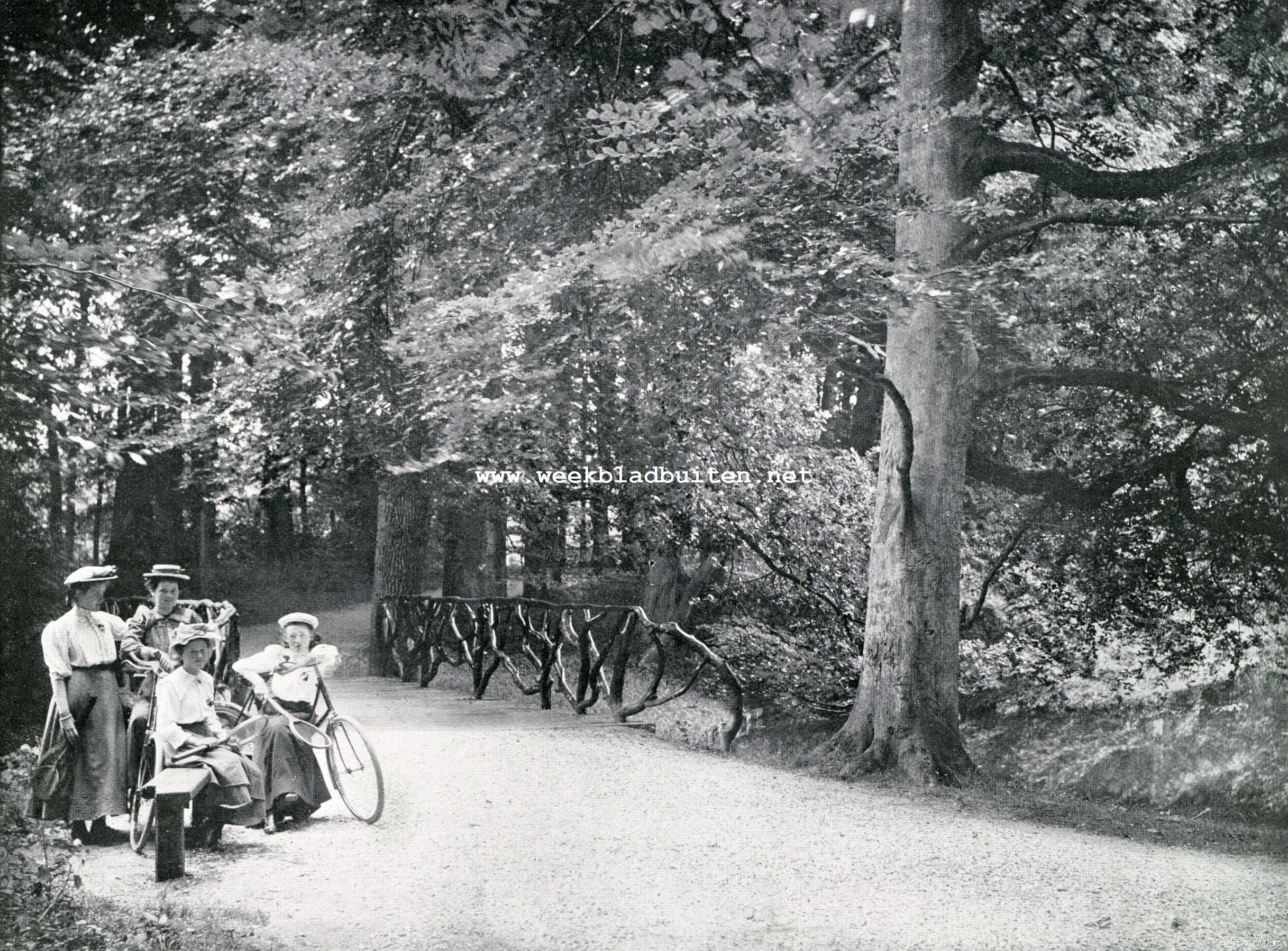 Het Haagsche Bosch. Naar het tennisveld