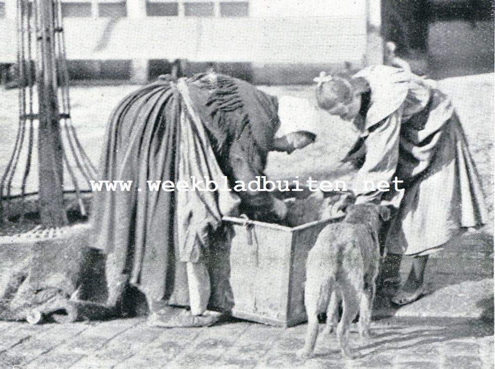 Auto-tocht Genua-Amsterdam. Reims. Inspectie der vuilnisbakken