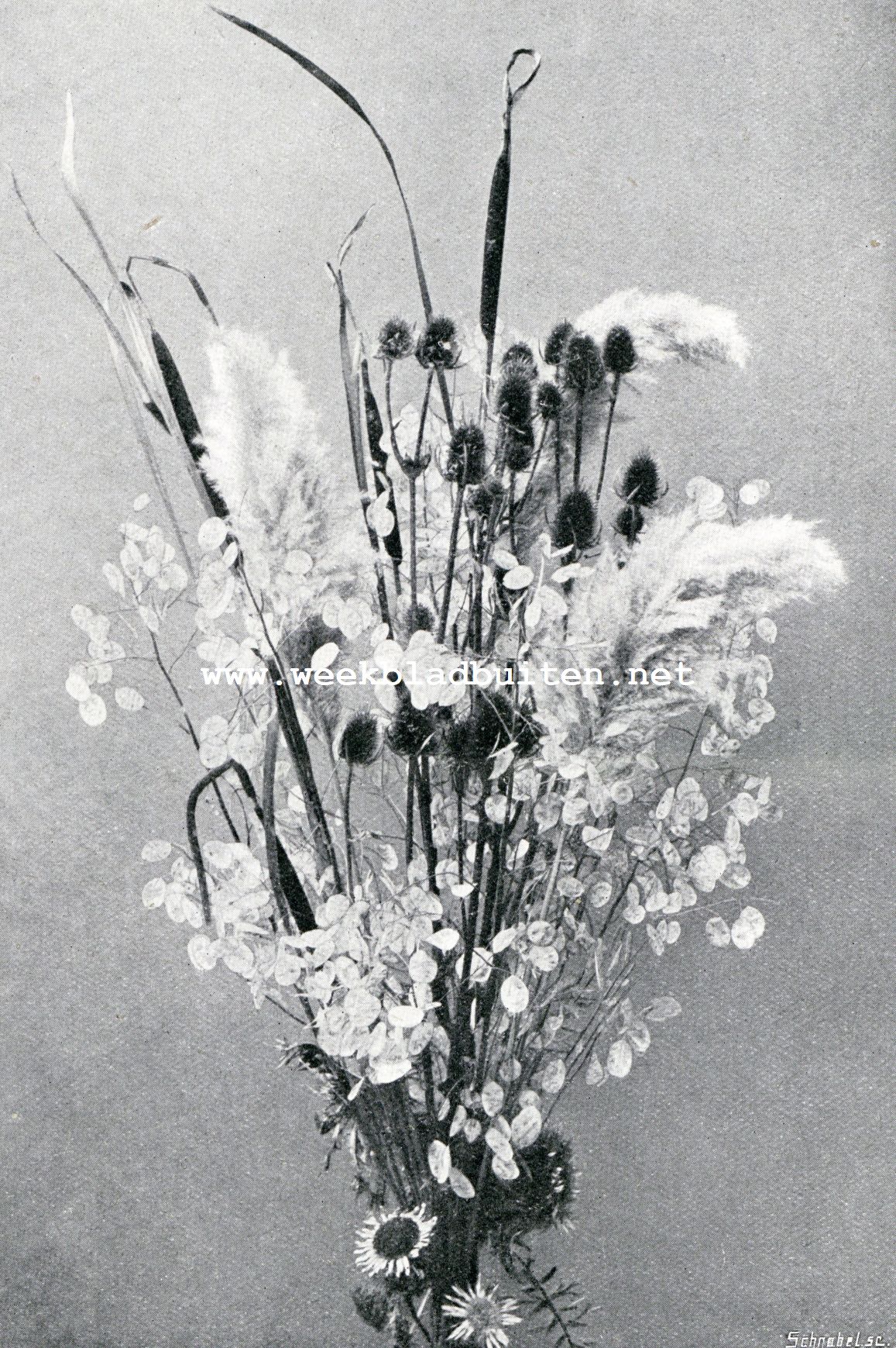 Winterbouquetten. Winterbouquet