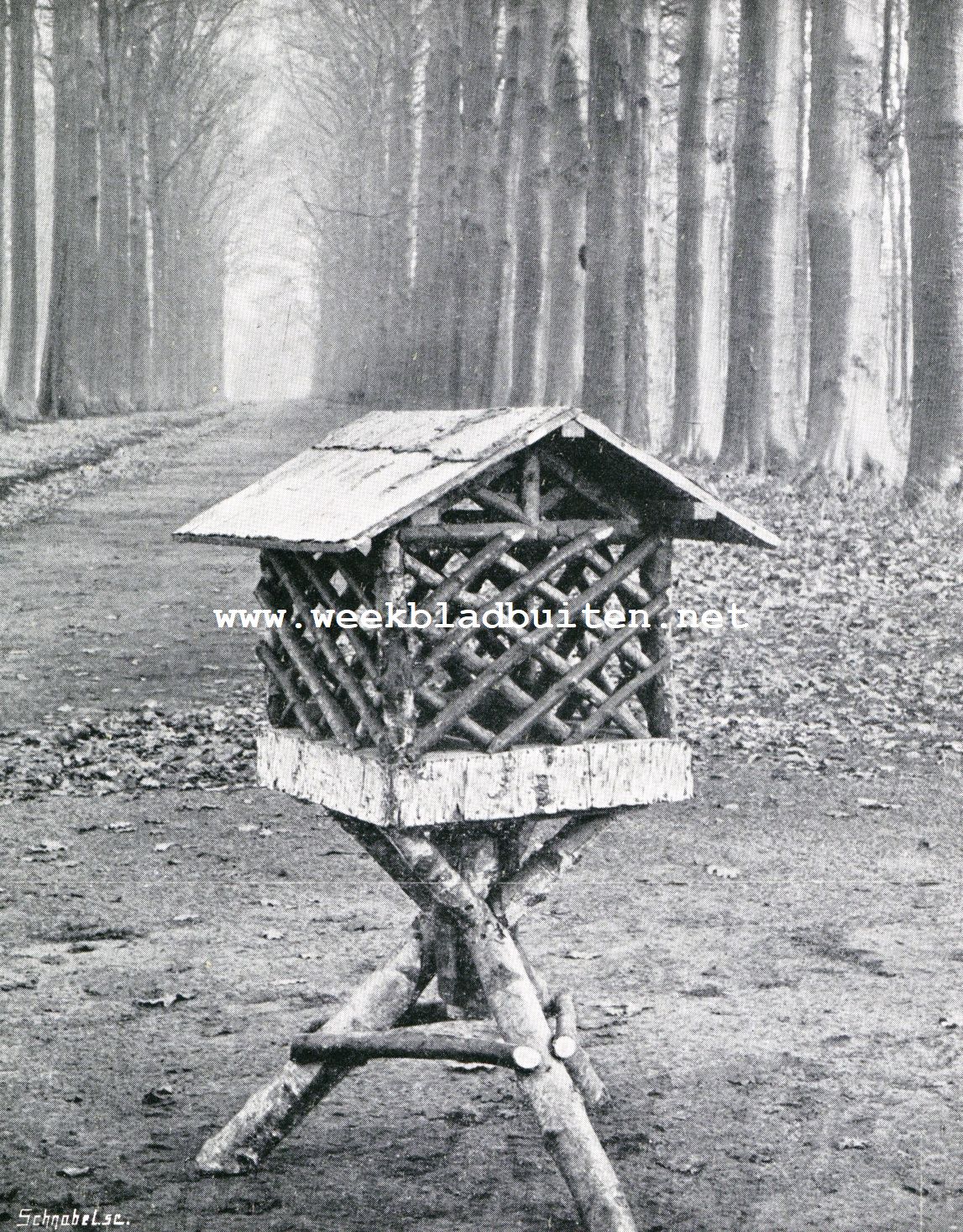 Voederkooitje