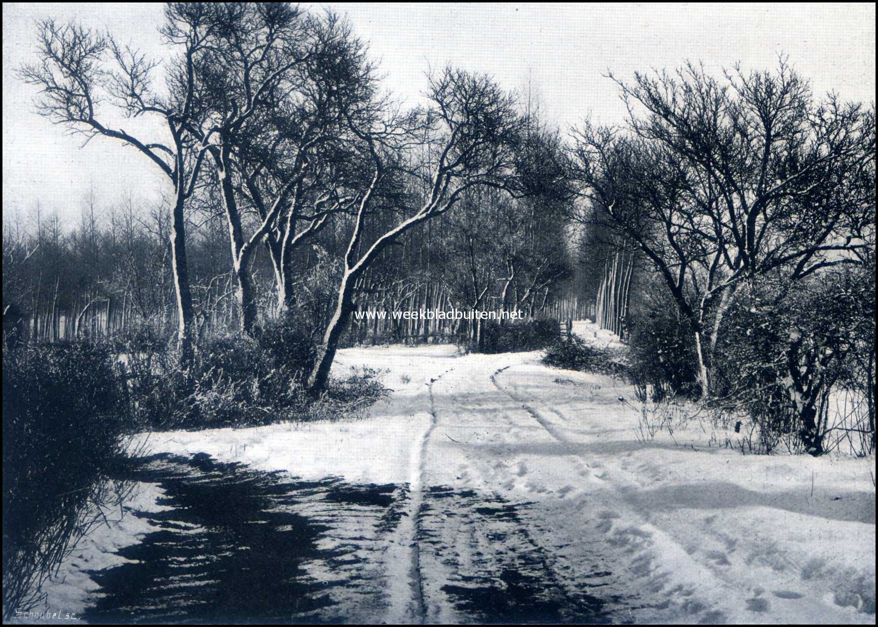 Olst en omgeving. Winter bij Olst