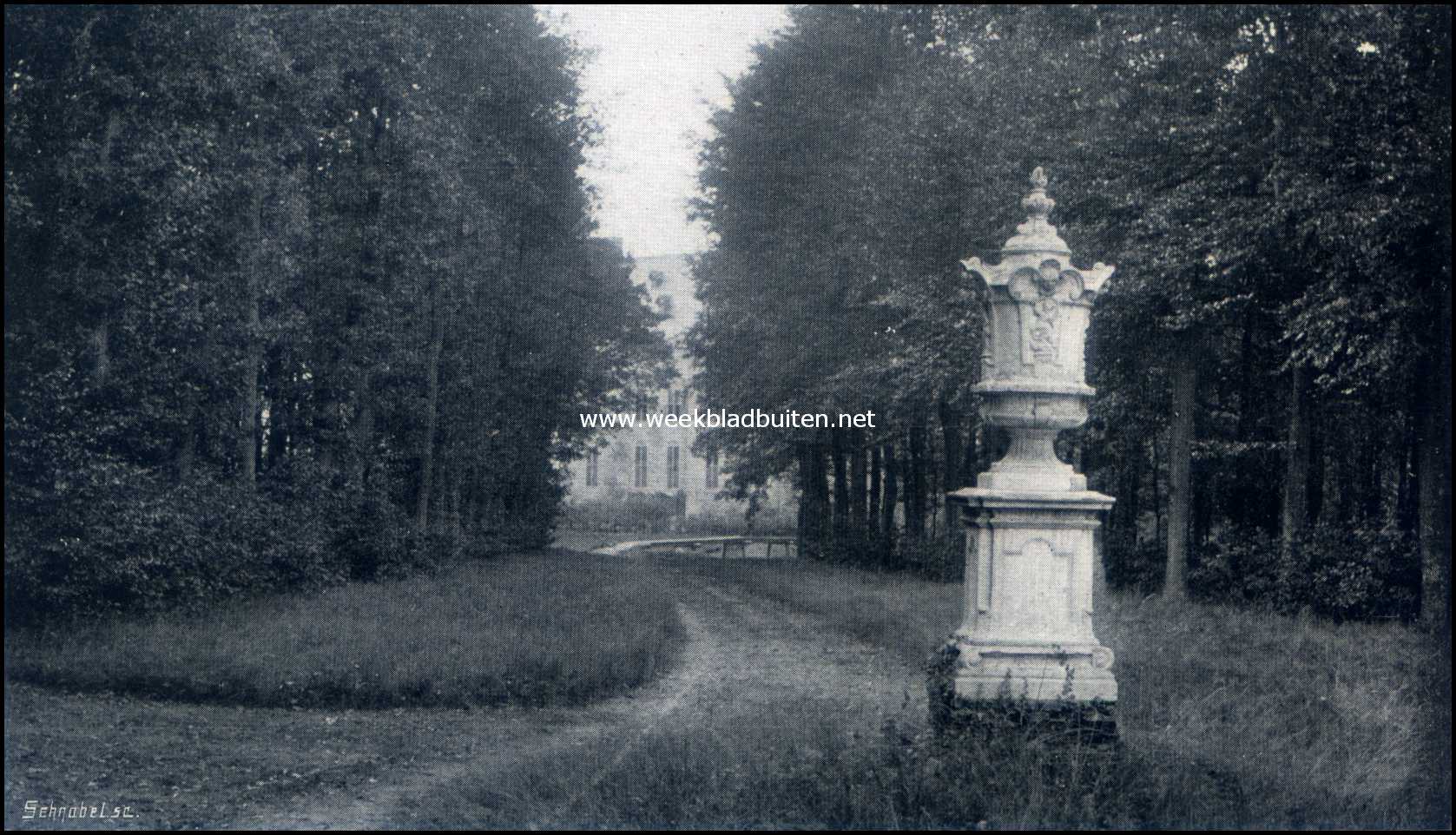 Het Kasteel Rechteren. Boschgezicht achter het Kasteel Rechteren