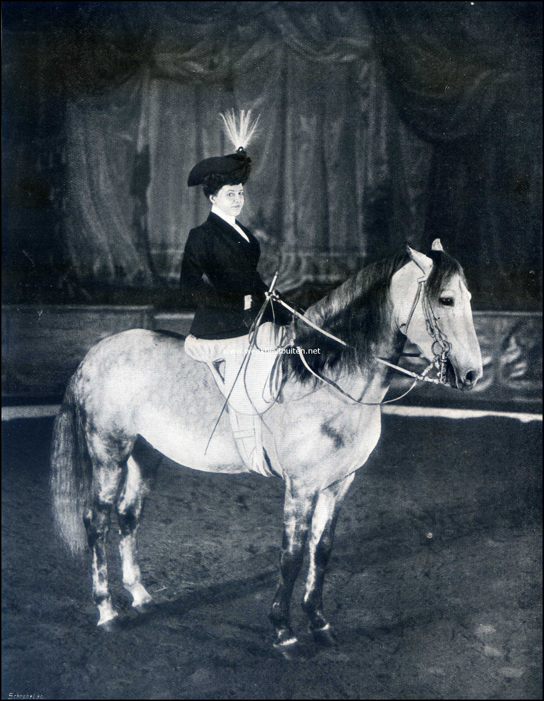 De Hongaarsche Hengst Emir II. Gereden door Ktchen Carr. (kunstlichtopname)