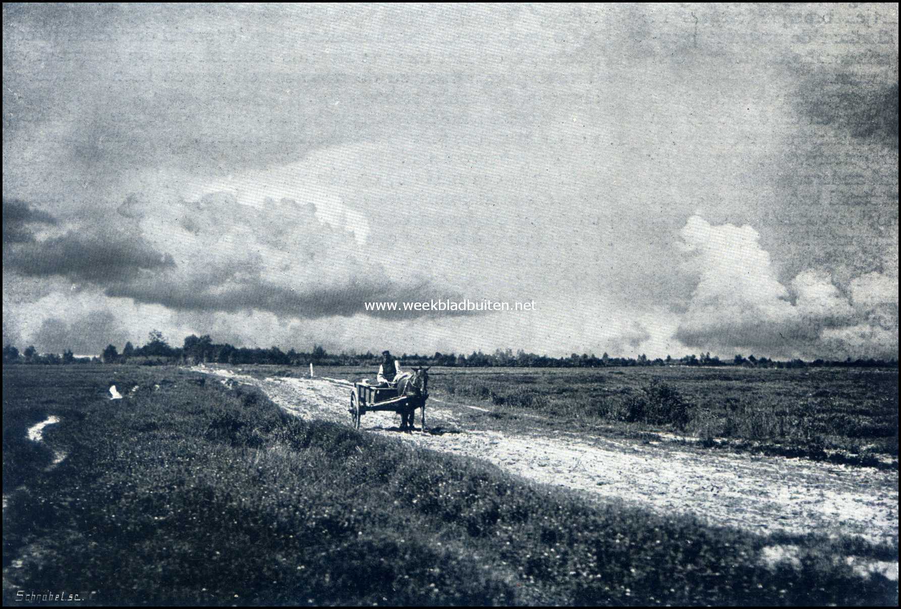 Denekamp en omgeving. Op de heide